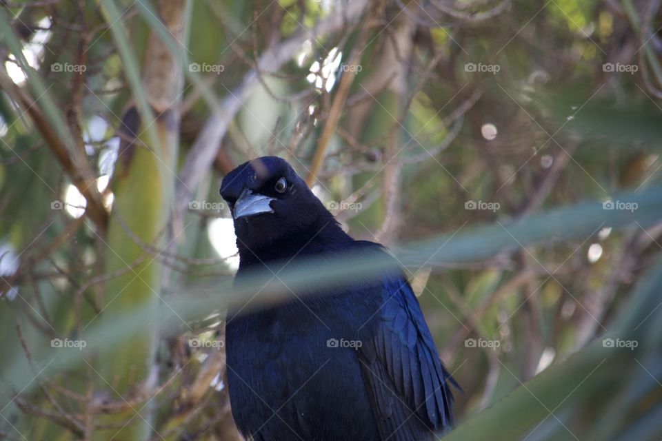 Who you looking at lady?