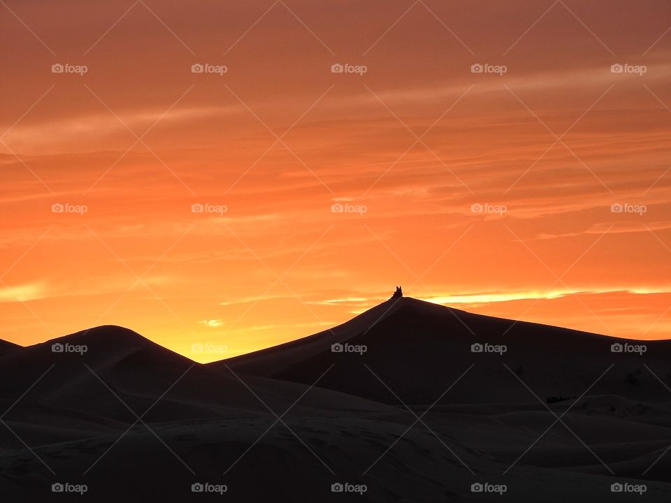 Silhouette of sand dunes