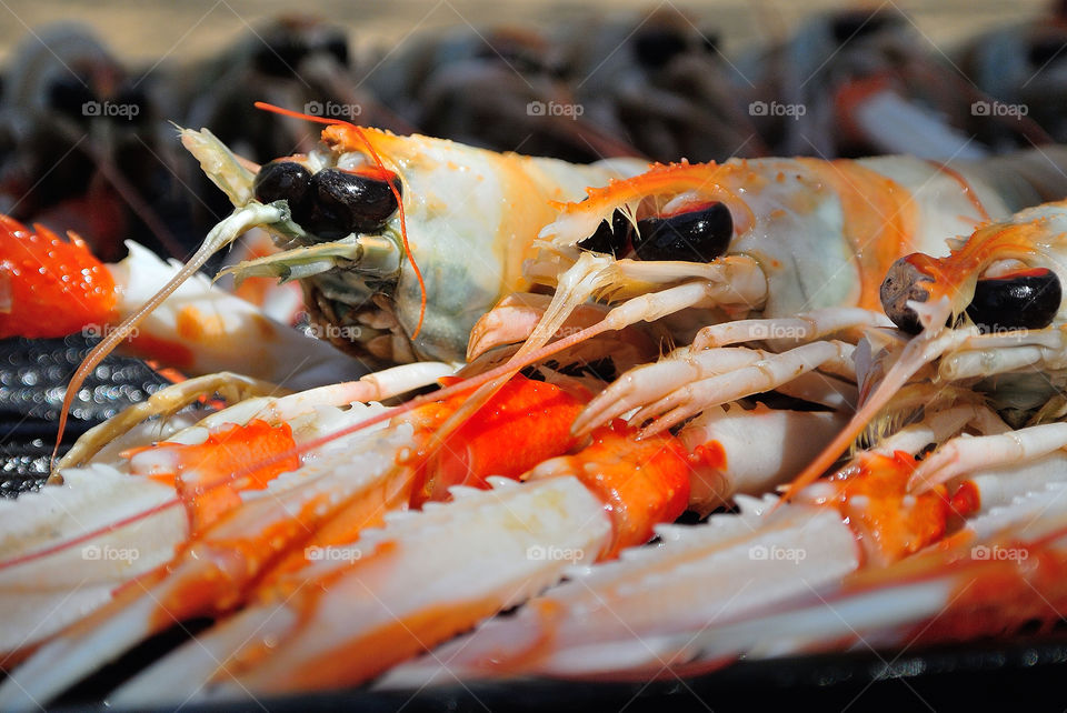 beach outdoors white orange by munda.net