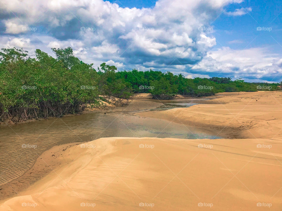 a river facing the sea