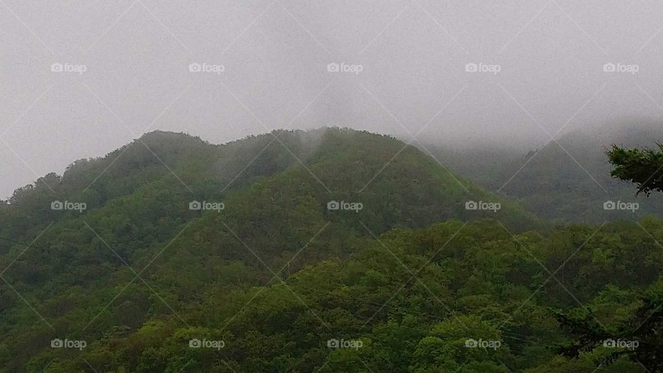 Hills in the fog