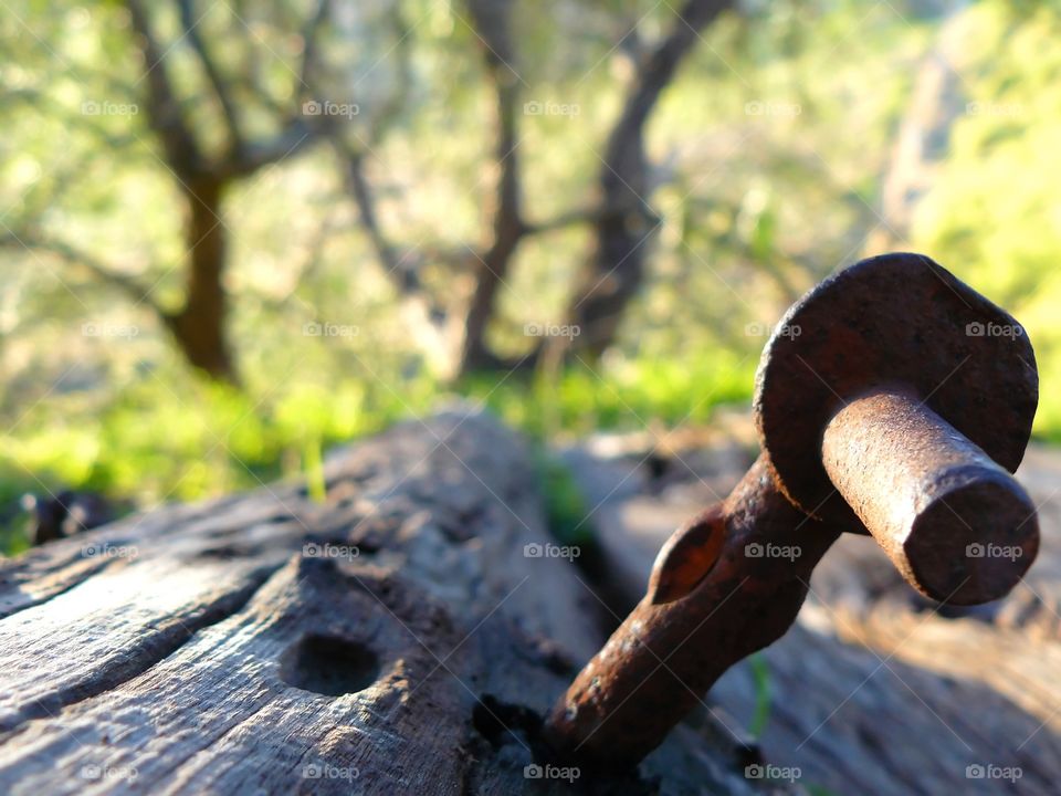 Old log rusty steel railway pin . Old log railway pin 