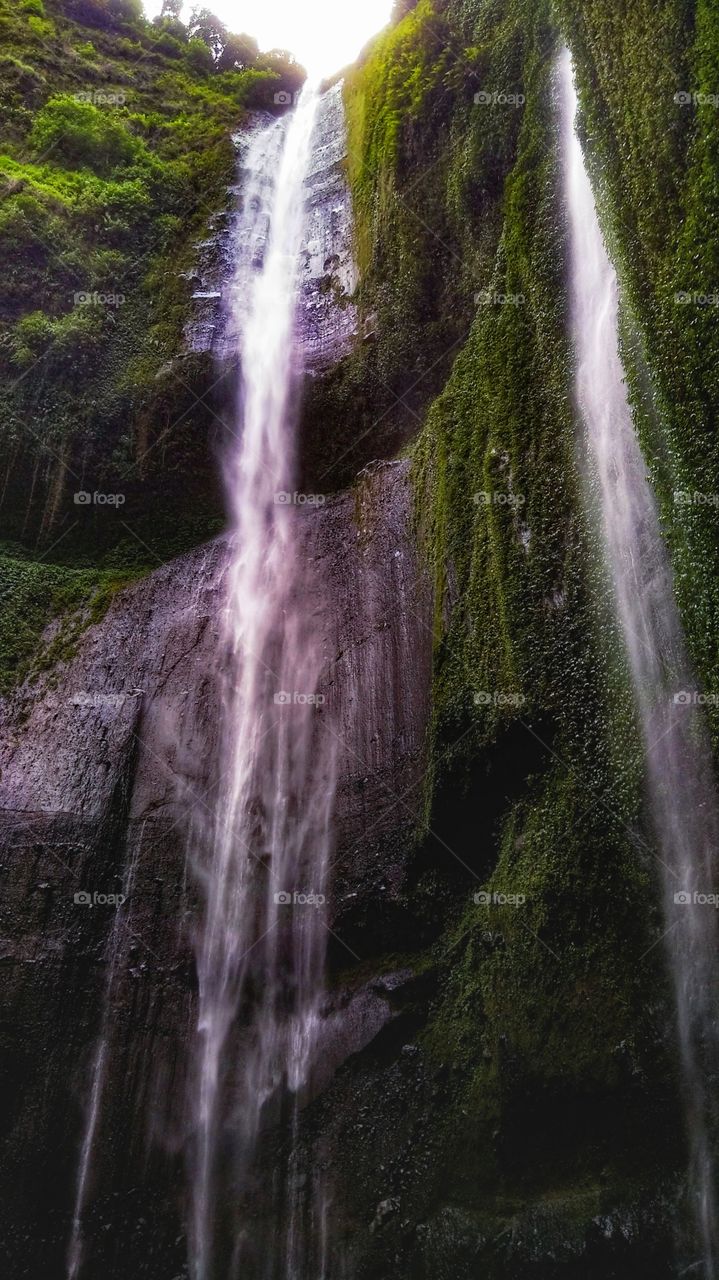 Madakaripura Waterfall, tallest in java island