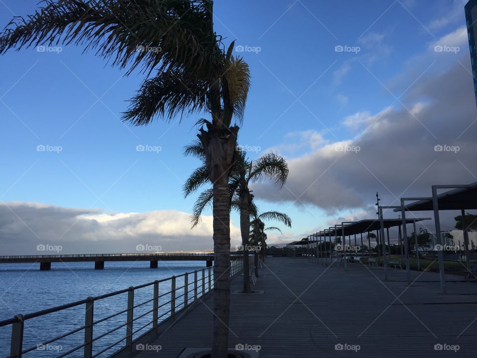 Arrecife Islas Canarias