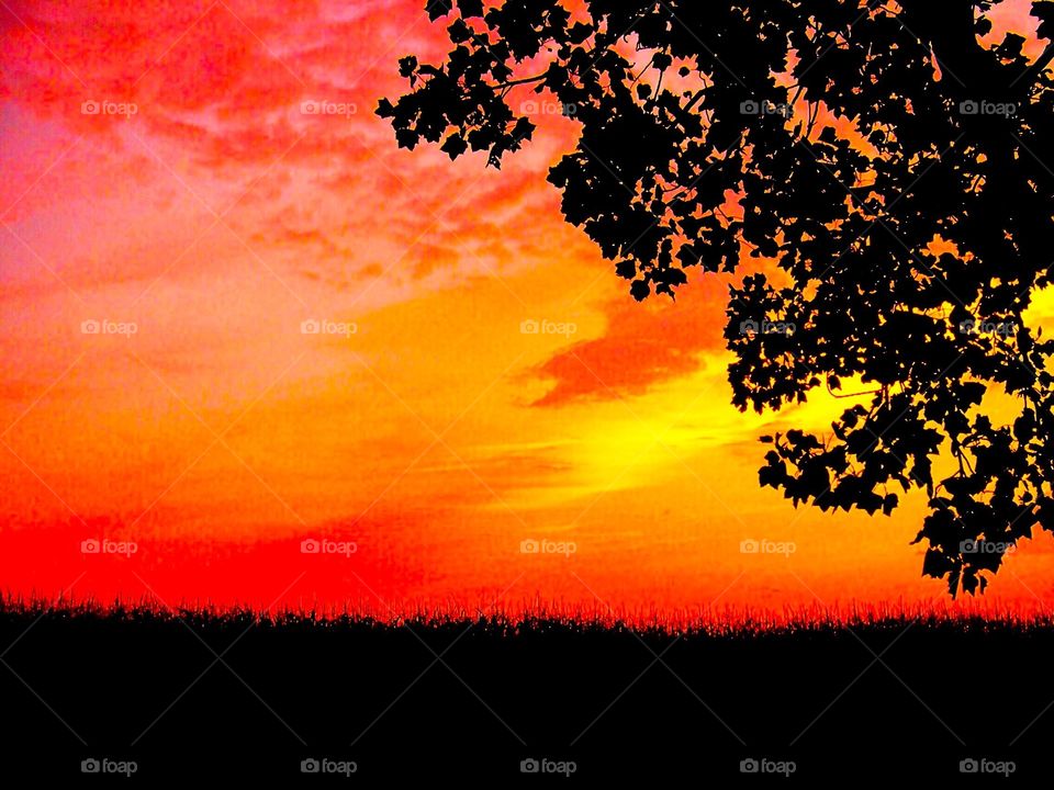 Sunsetting in the country 