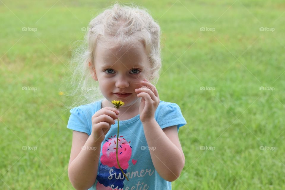 Girl smelling a flower. Toddler enjoying the outdoors