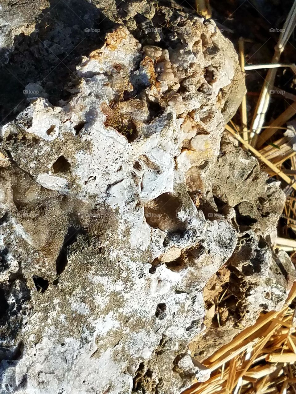 What can we Really see in a Rock