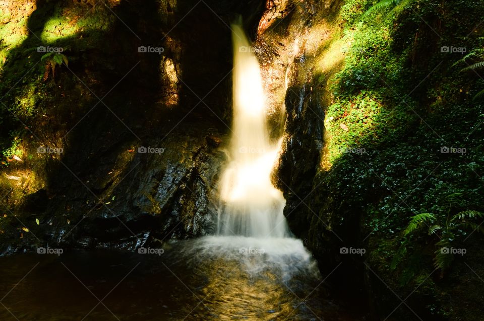 Scenic view of waterfall