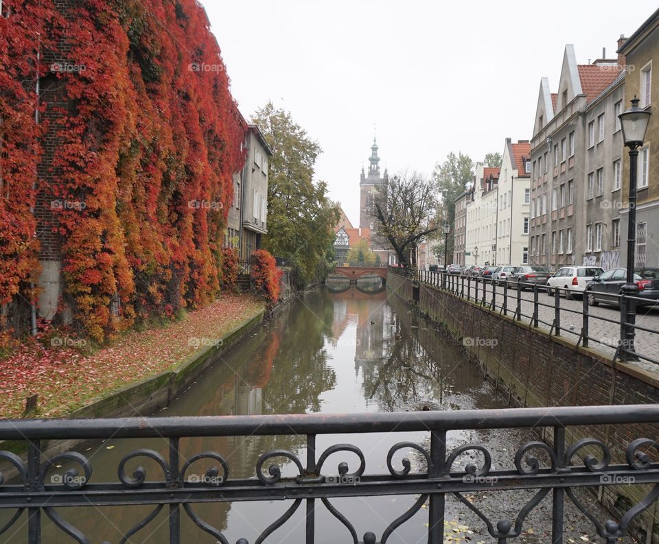 Enjoying a walk around Gdansk on a dull grey October morning .. when I spotted a bit of colour .. love the autumnal orange foliage on the side of this building  🍁