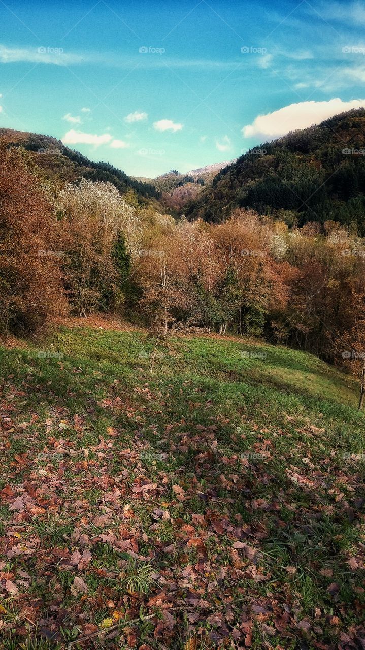 autum on the Appennino mountains