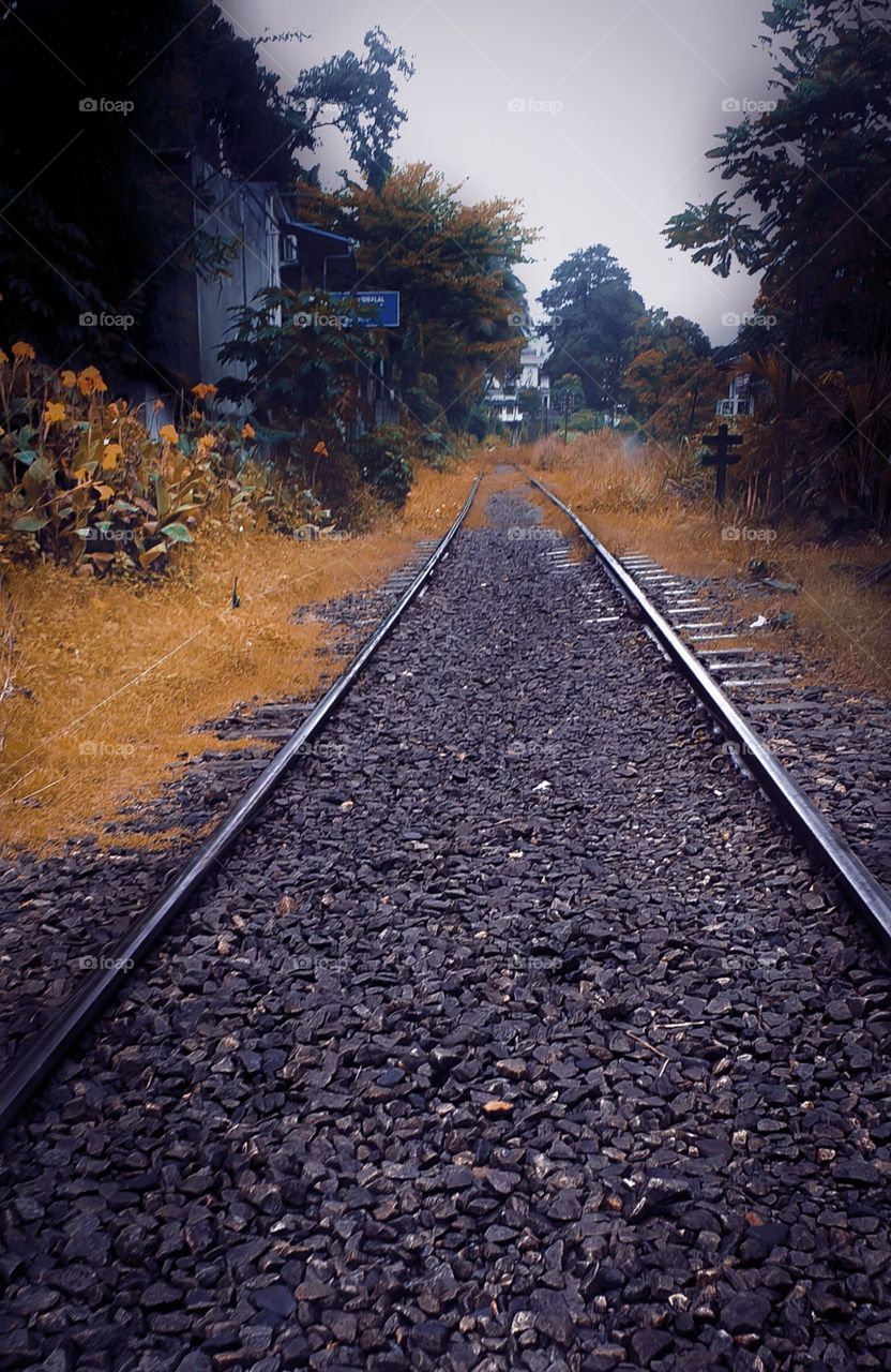 beautiful dark railway track in natural yellow place