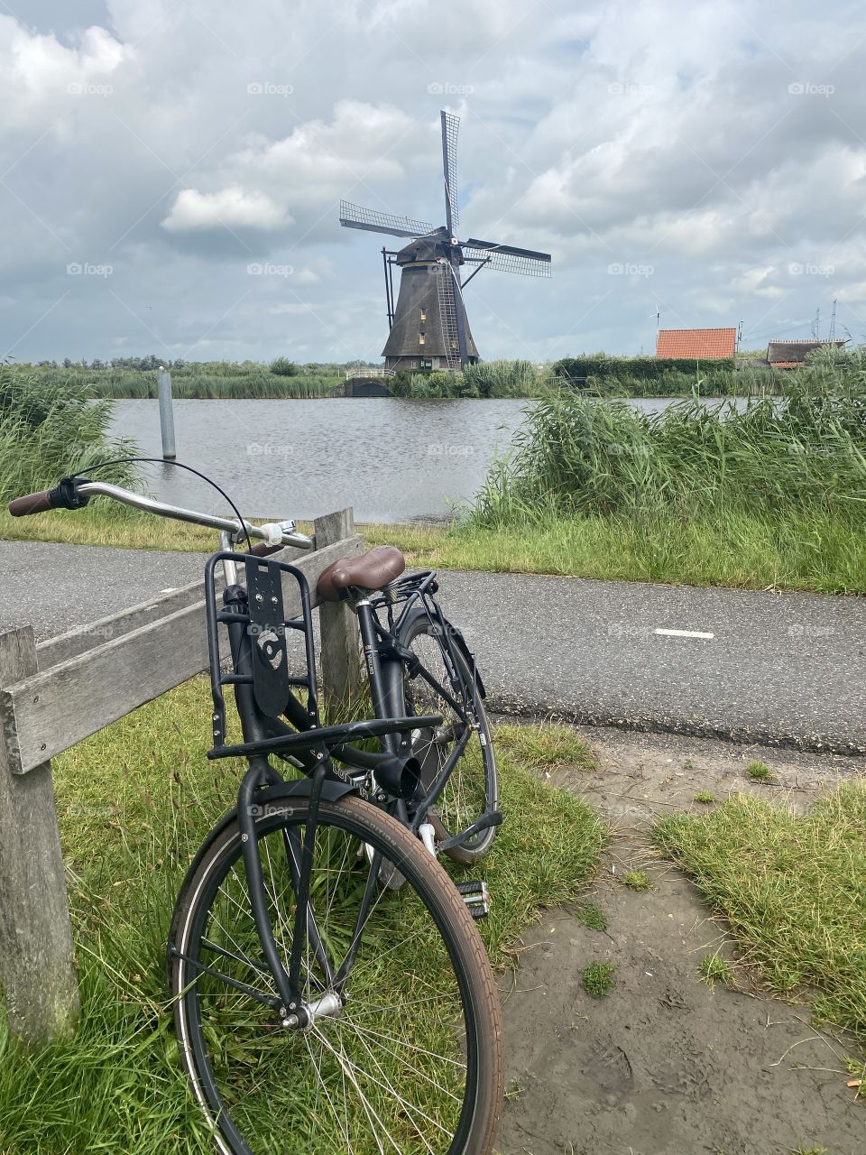 Bike Nature the Netherlands Summer Wind Green View