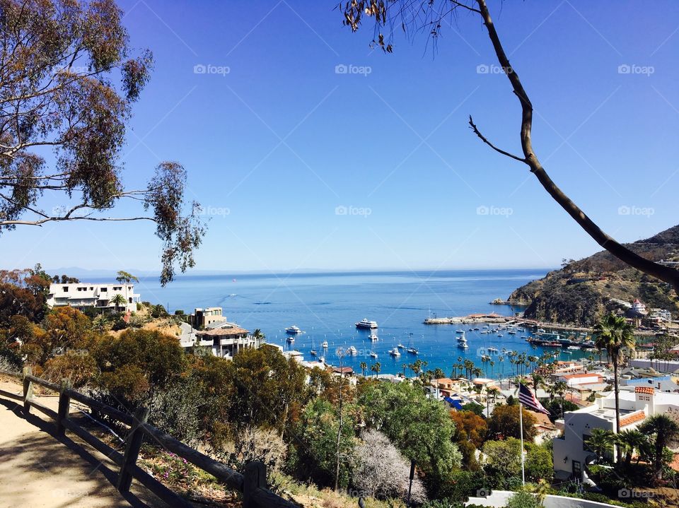 Catalina Island - Avalon Bay