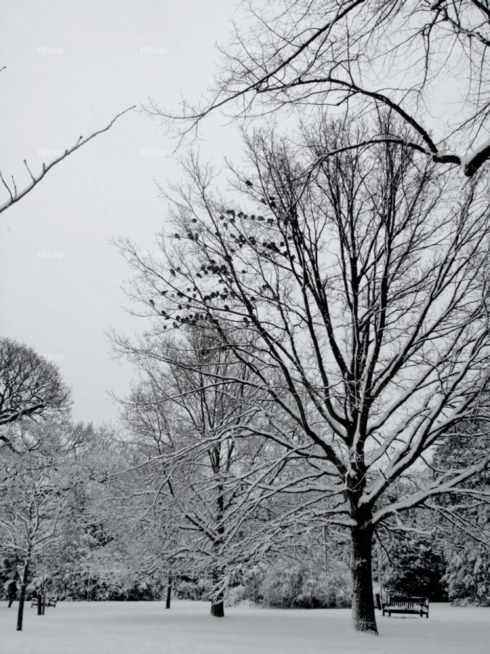 london snow winter white by Balloo