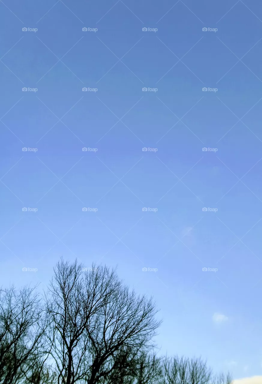 sky