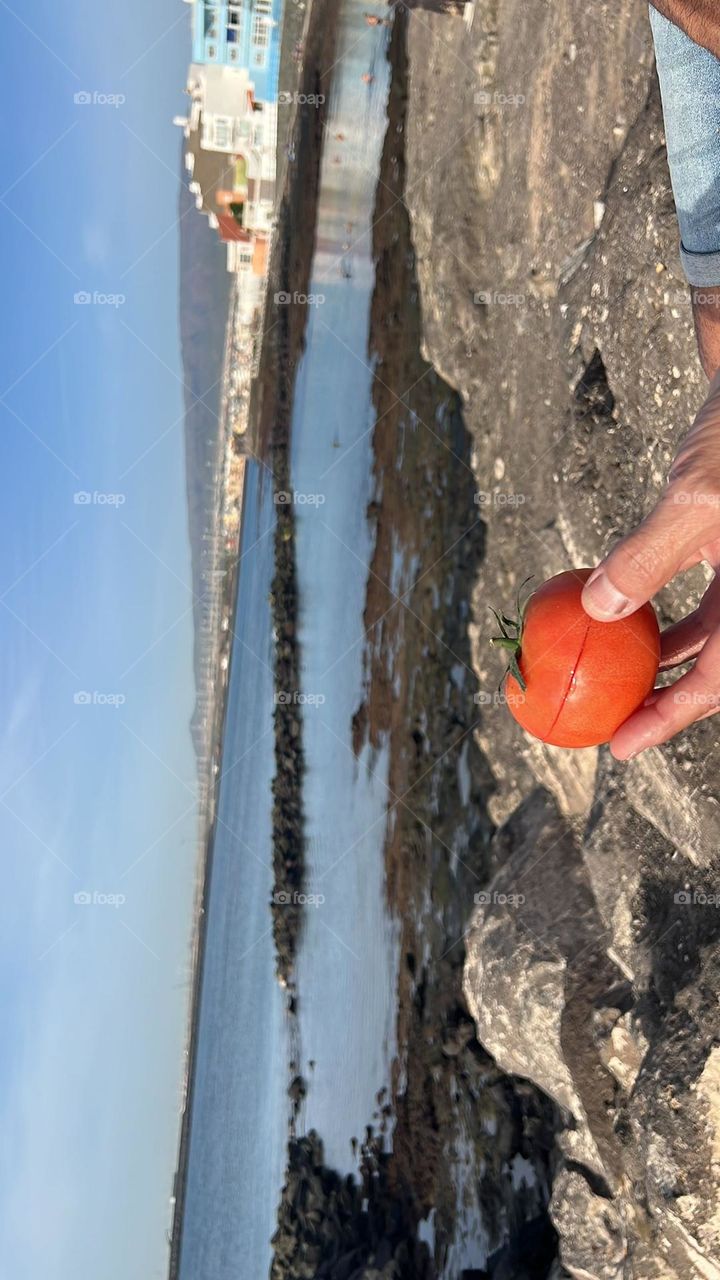Que más beneficioso para la salud que un tomate natural para untar con jamón serrano y aceite mirando la playa