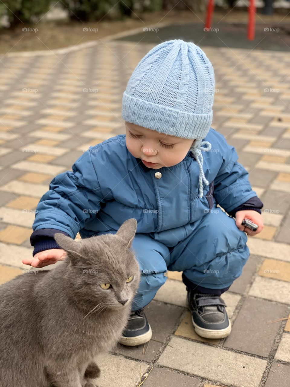 Little boy with gray fluffy cat outdoors