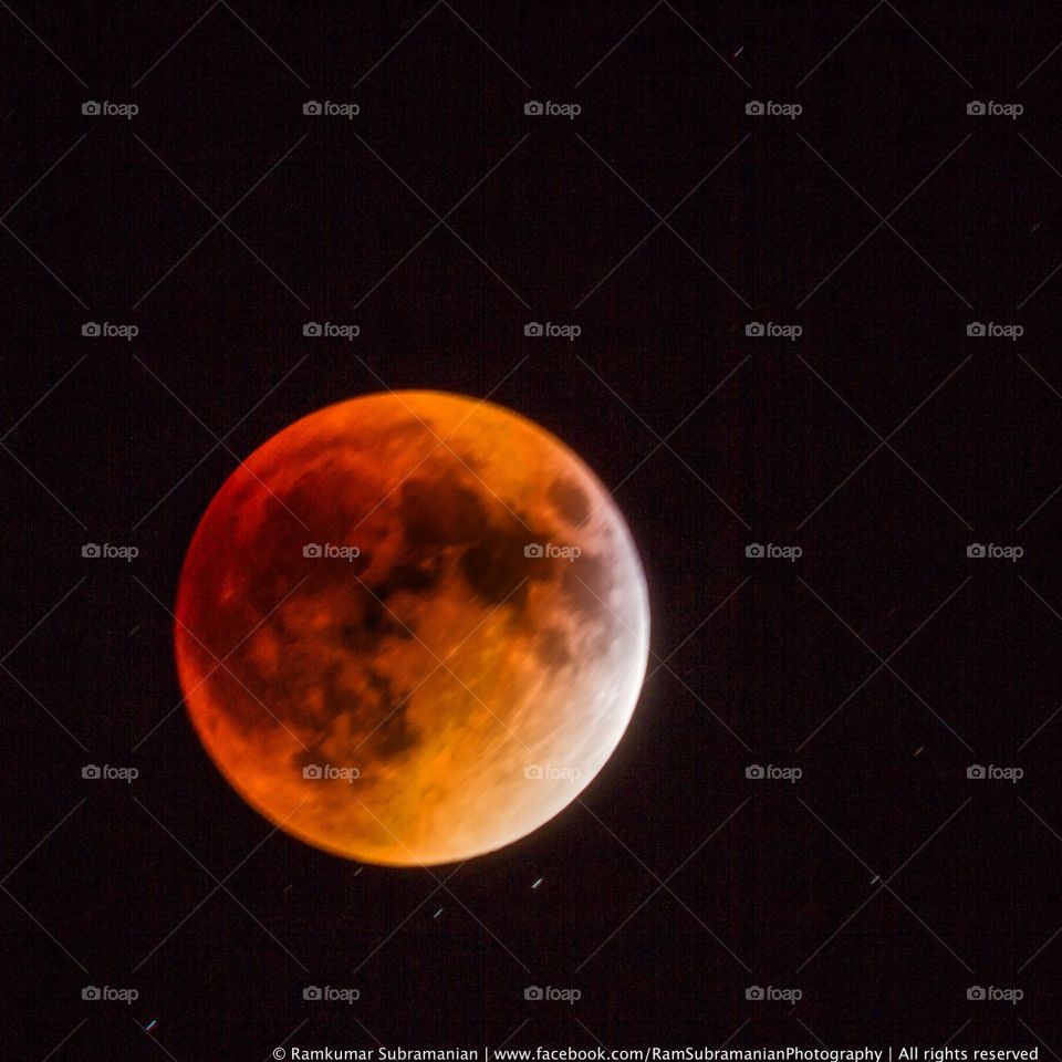 Super Blood Moon 