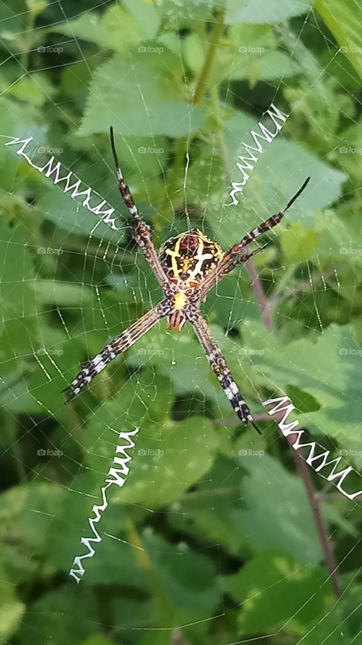 This is very very beautiful click