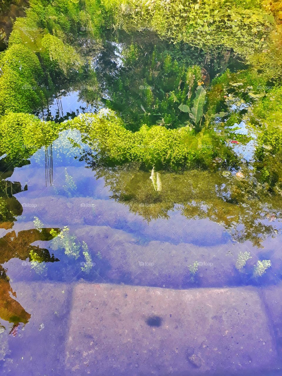 Man made pond a form of water resources