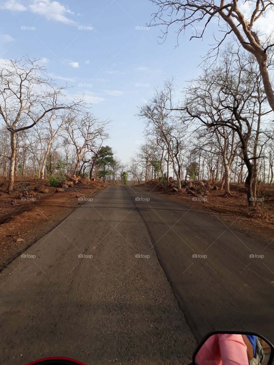 Road, Tree, No Person, Landscape, Nature