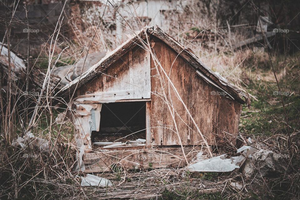 abandoned home