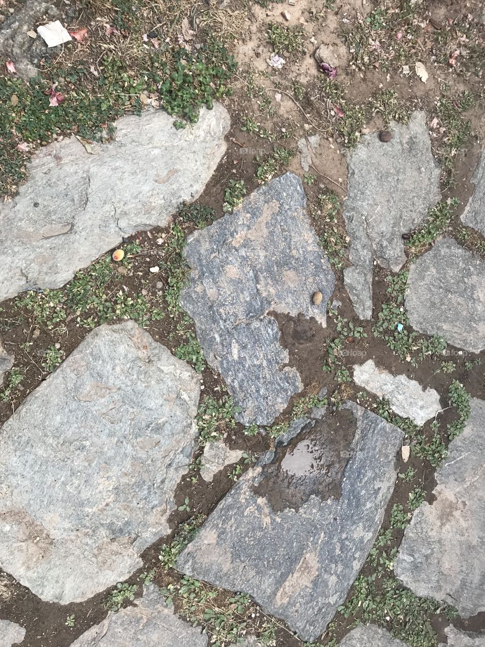 Stone Ground in India 