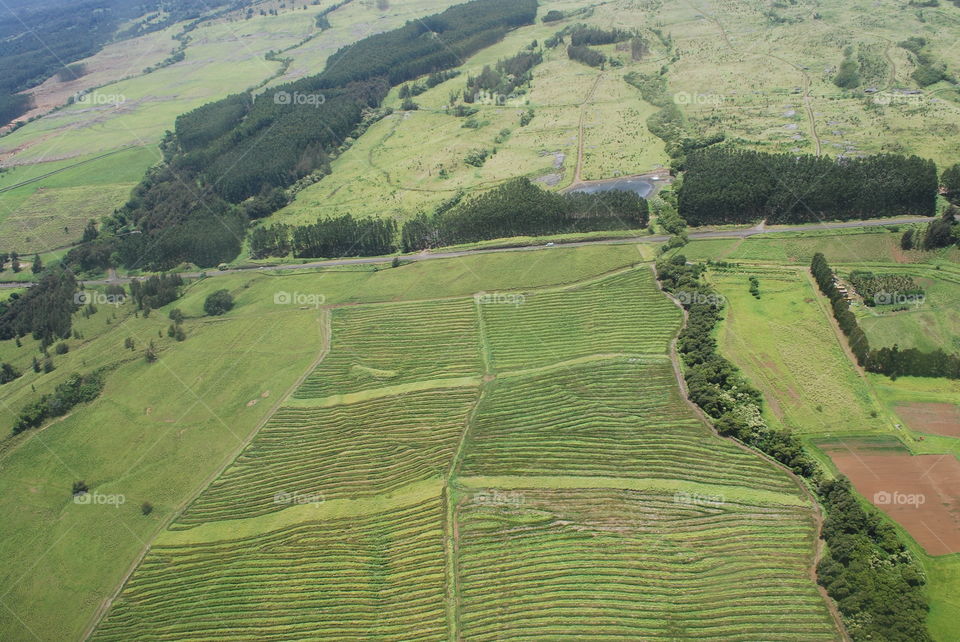 High angle view of field