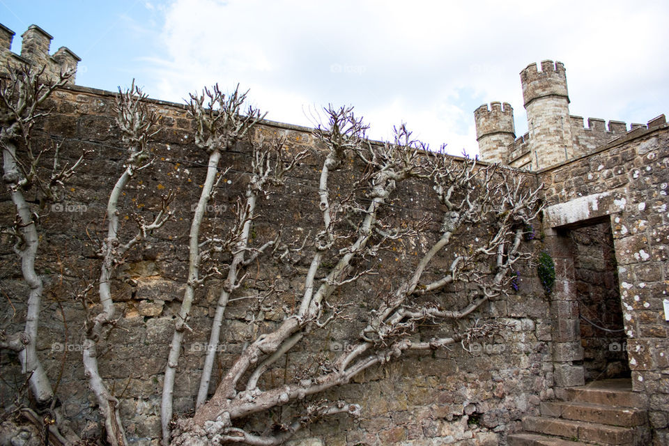 Leeds castle