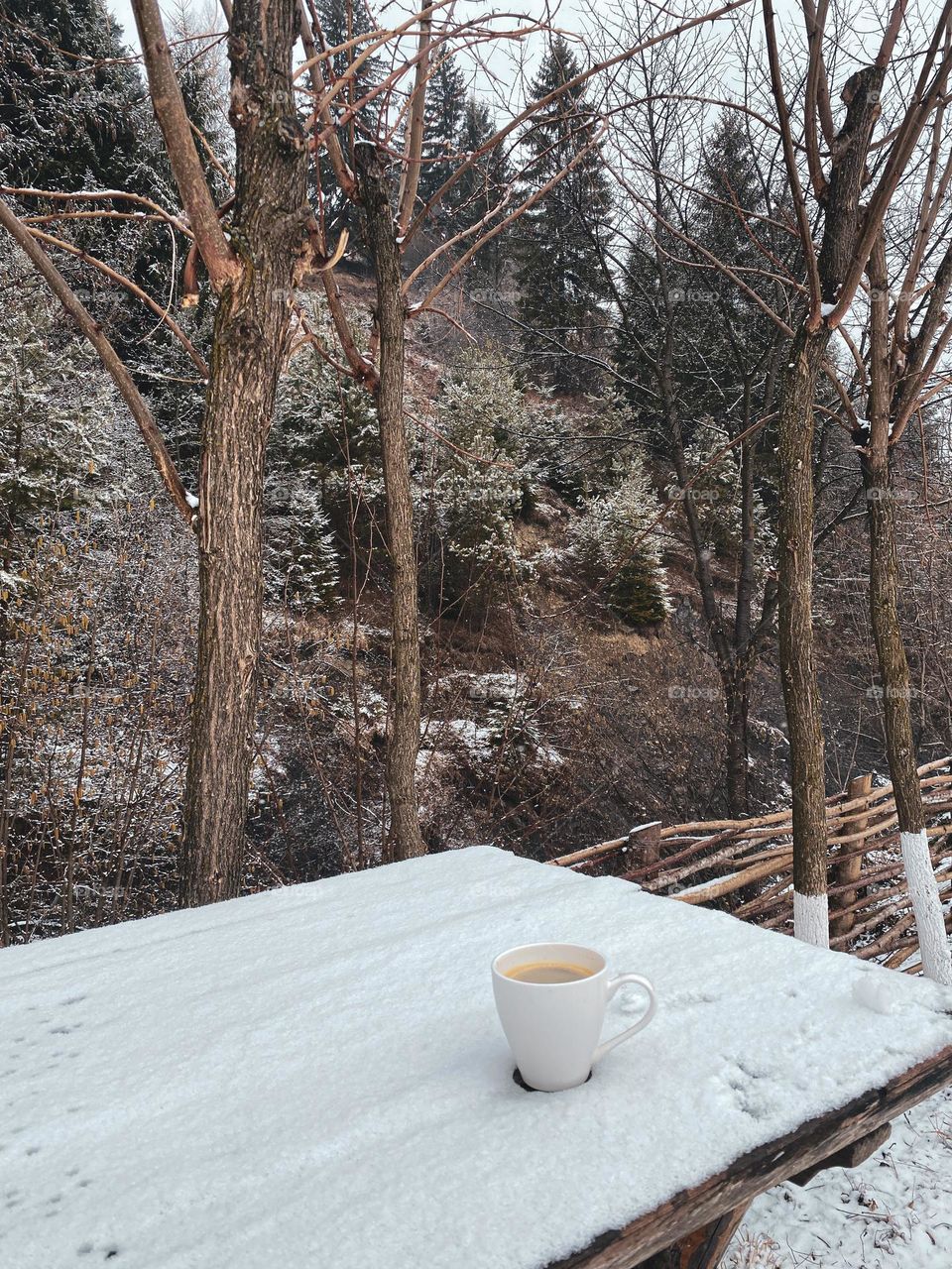 Coffee and snow