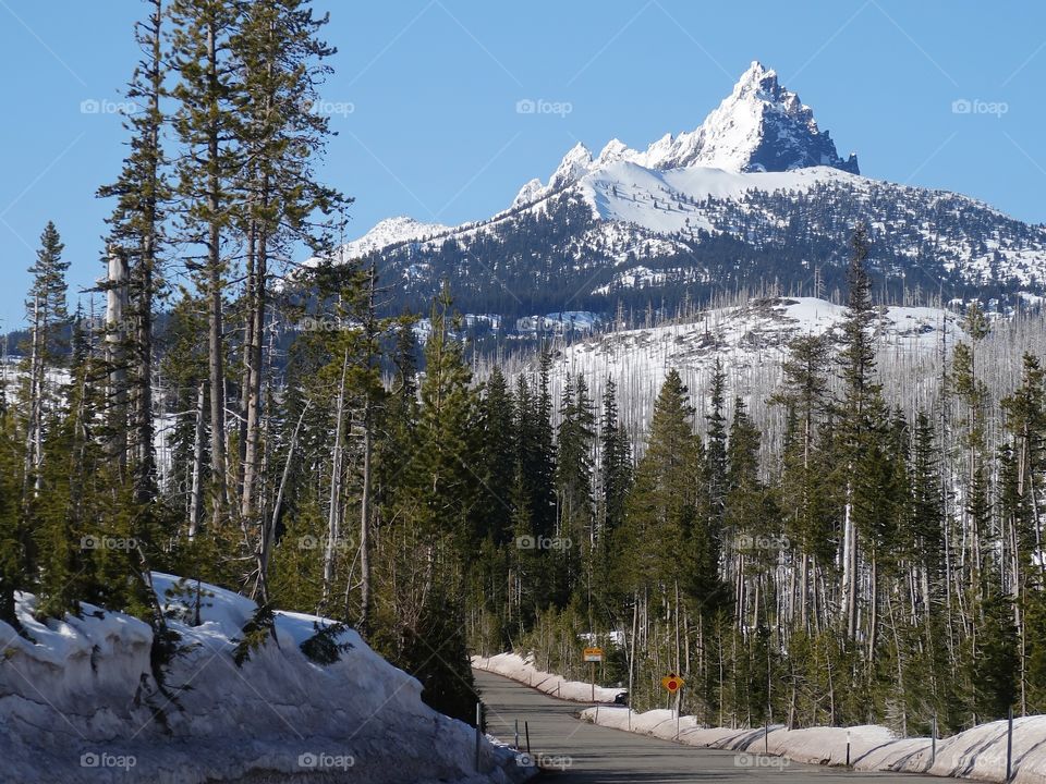 The jagged snow covered peak of Mt. Washington in Oregon’s forests and Cascade Mountain Range against a clear blue sky on a sunny spring day. 