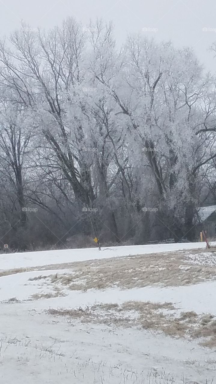 frosty day