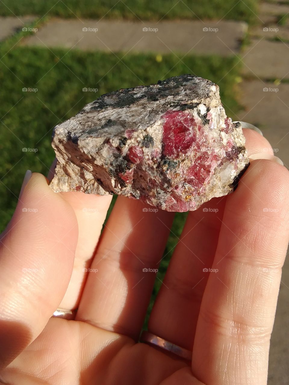 Raw Eudialyte Crystal. Stunning shades of pink and black are present throughout this stone. This piece is from my personal collection. Eudialyte is a rare crystal found only in Greenland!