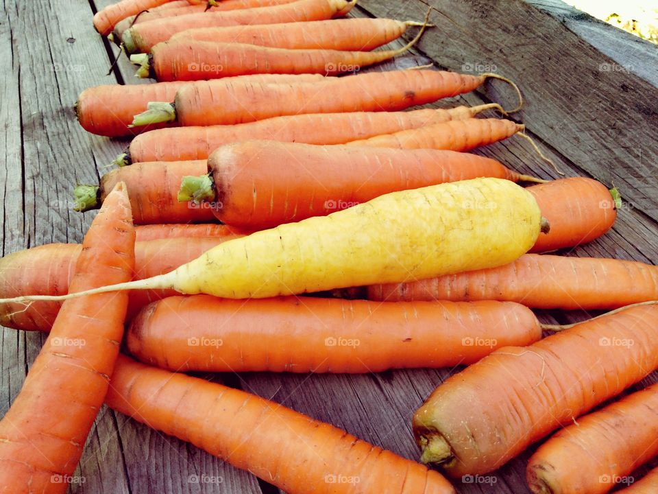 Осень морковь