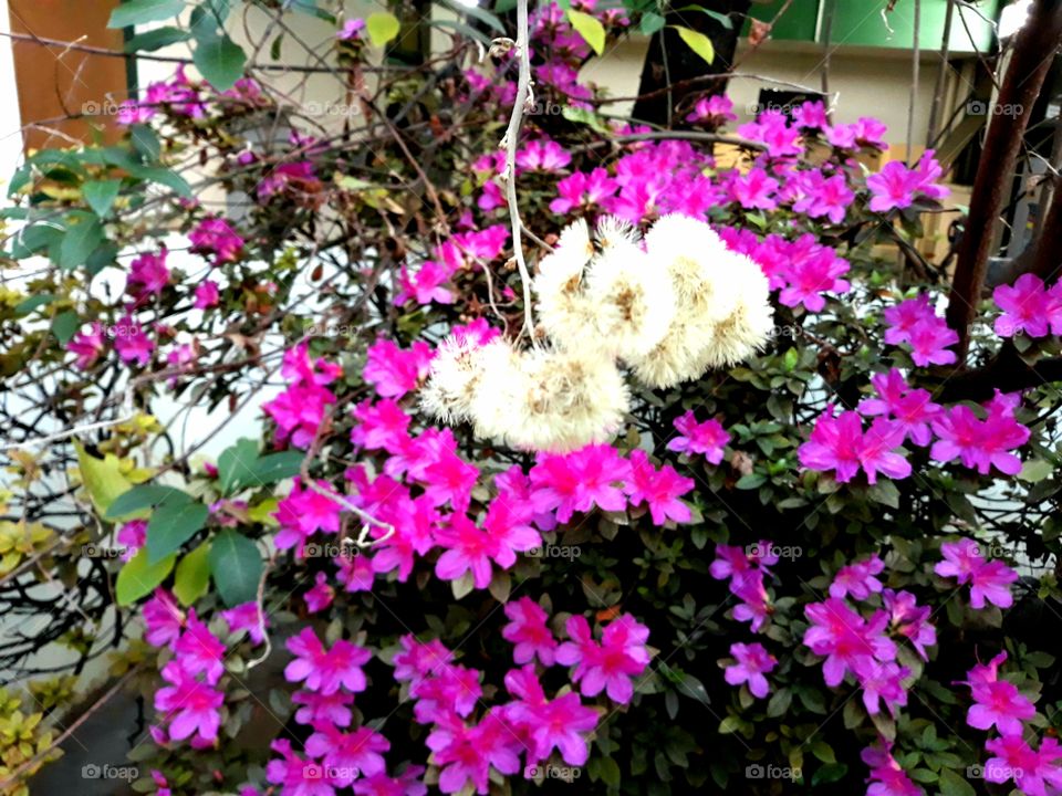 A natureza é linda.