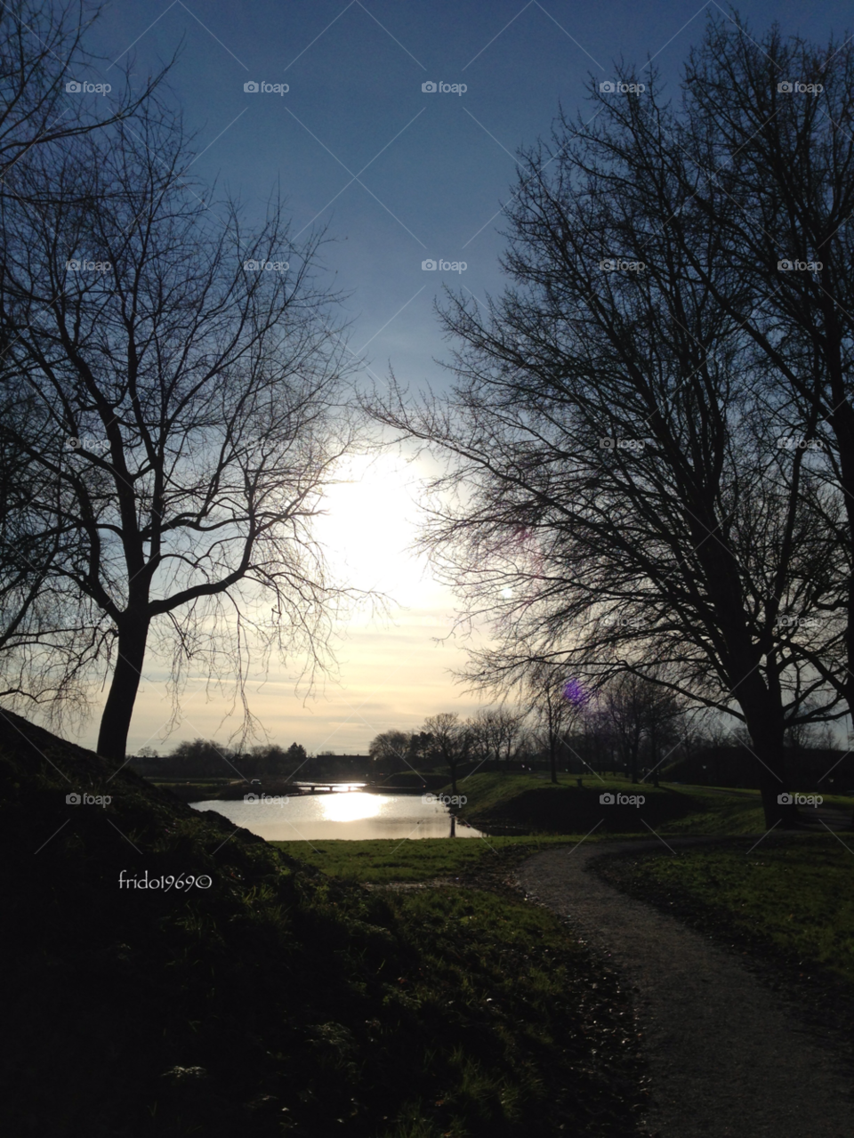 sky sun trees autumn by frido1969
