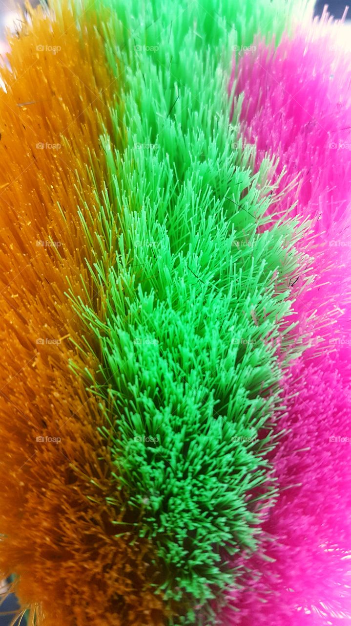 colorful Grass