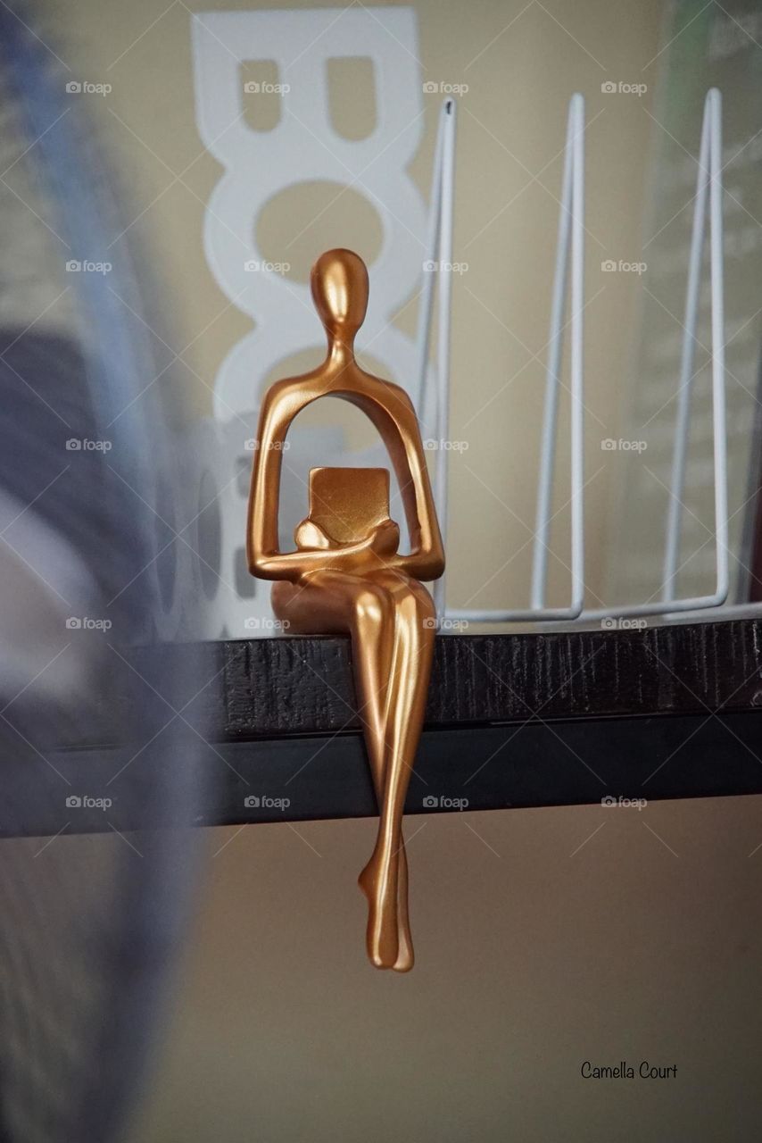 Temu bookshelf decor for my custom shelves