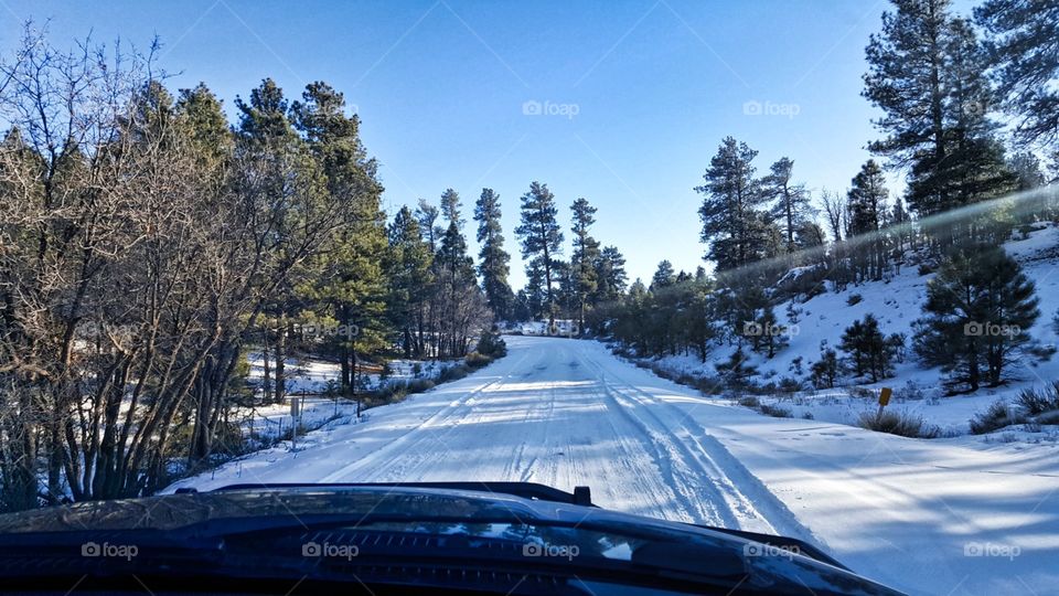 Snow Road