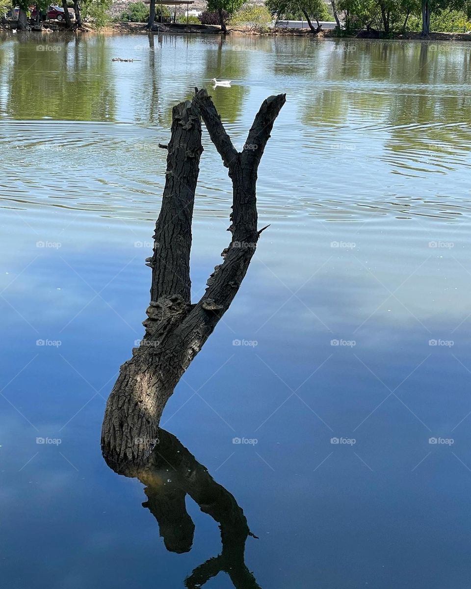 Above and below sacred energies!!!