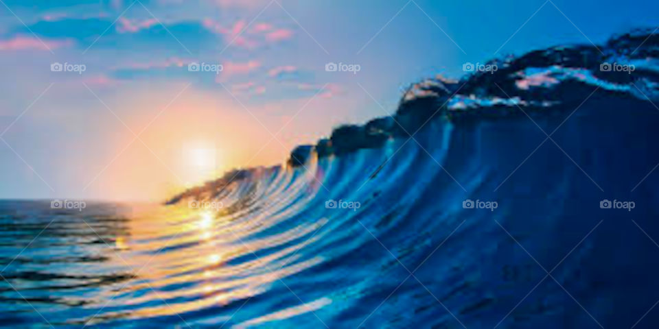 La vague ~ The Wave 🌊