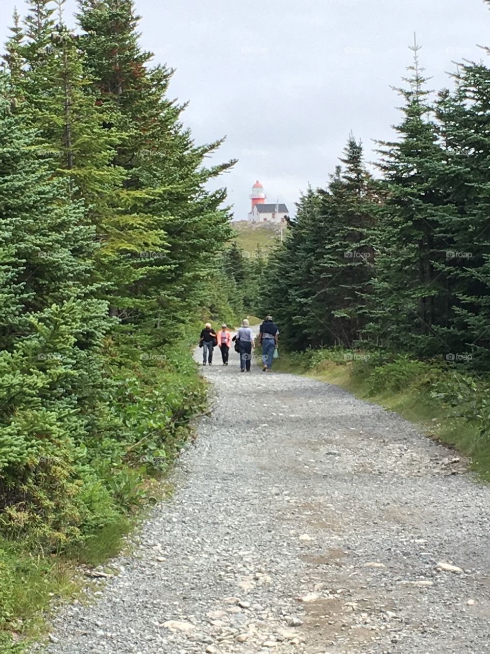 Walking to the Lighthouse