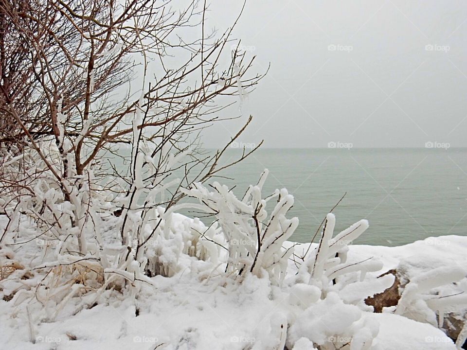 Frozen wonderland Point Pelee