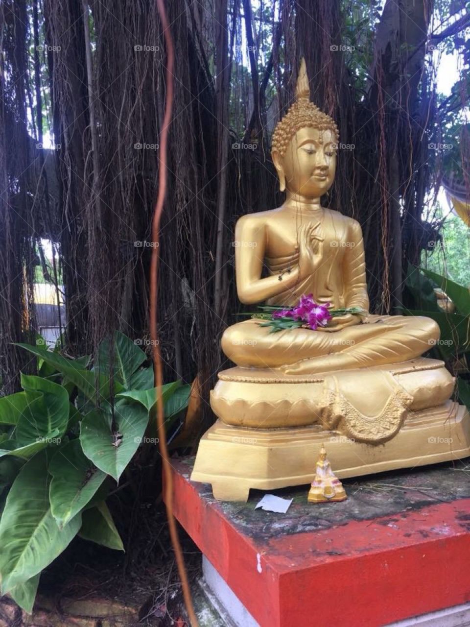 Buddha at Thai Temple.