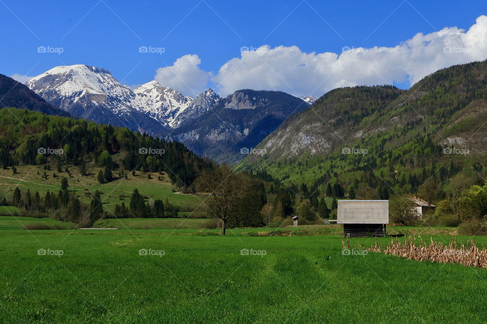 Slovenia nature