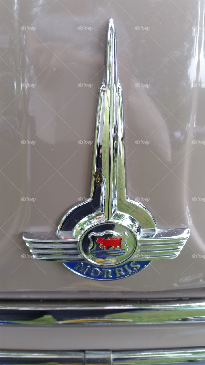 vintage chrome Morris car badge  on a car with beige glossy paint.