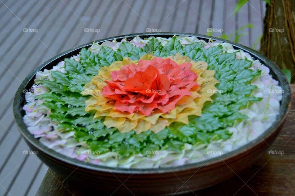 Flowers in pottery basin