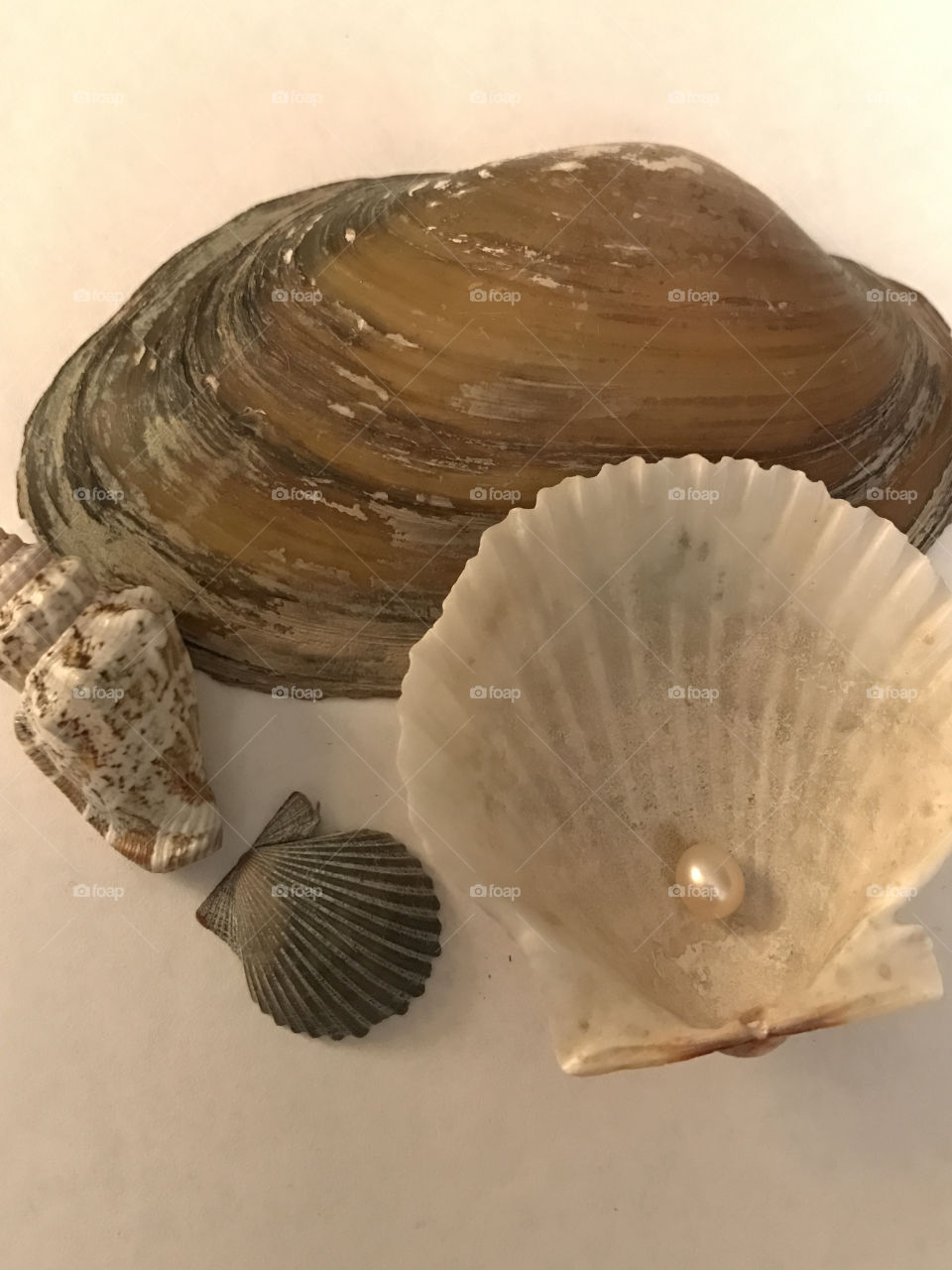Pearl and shells
