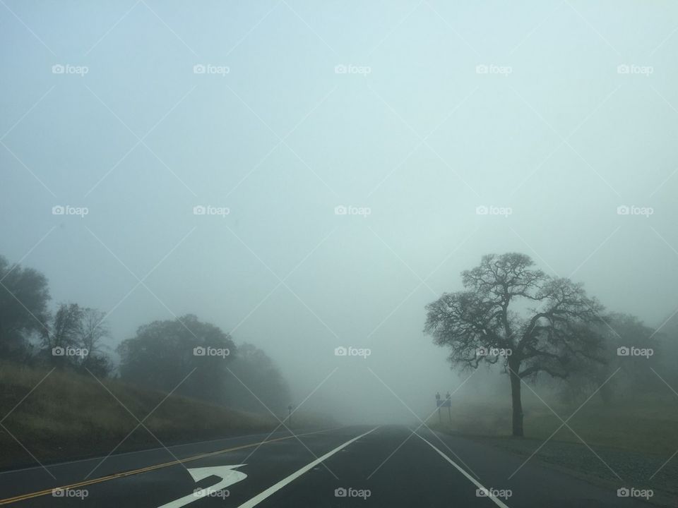 Foggy Left Turn