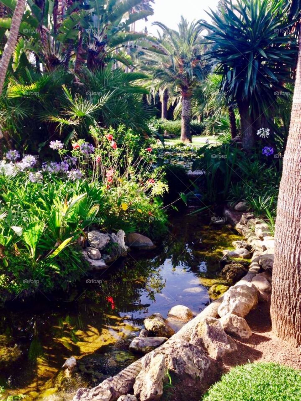 Paradise in marbella, a windy river amongst foliage and flowers 